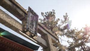 今年も住吉大社にて初詣。2020年のおみくじの結果は？